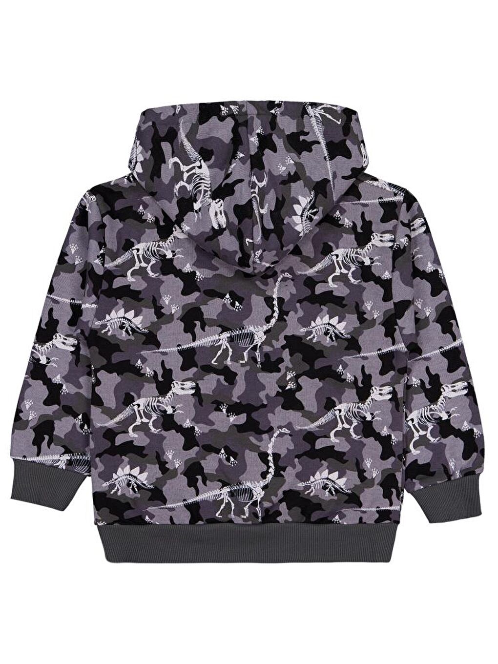 Antrasit Boys Giant Rex Baskılı Kapüşonlu 10-13 Yaş Sweatshirt