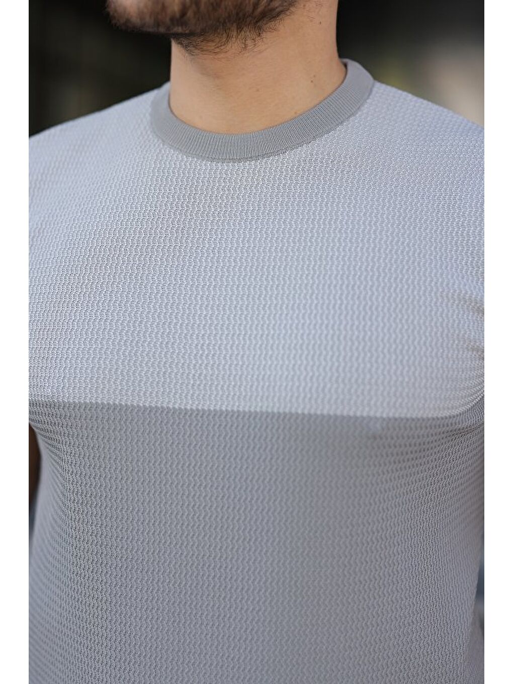 Gri Erkek Bisiklet Yaka Kısa Kollu Triko Tişört-2