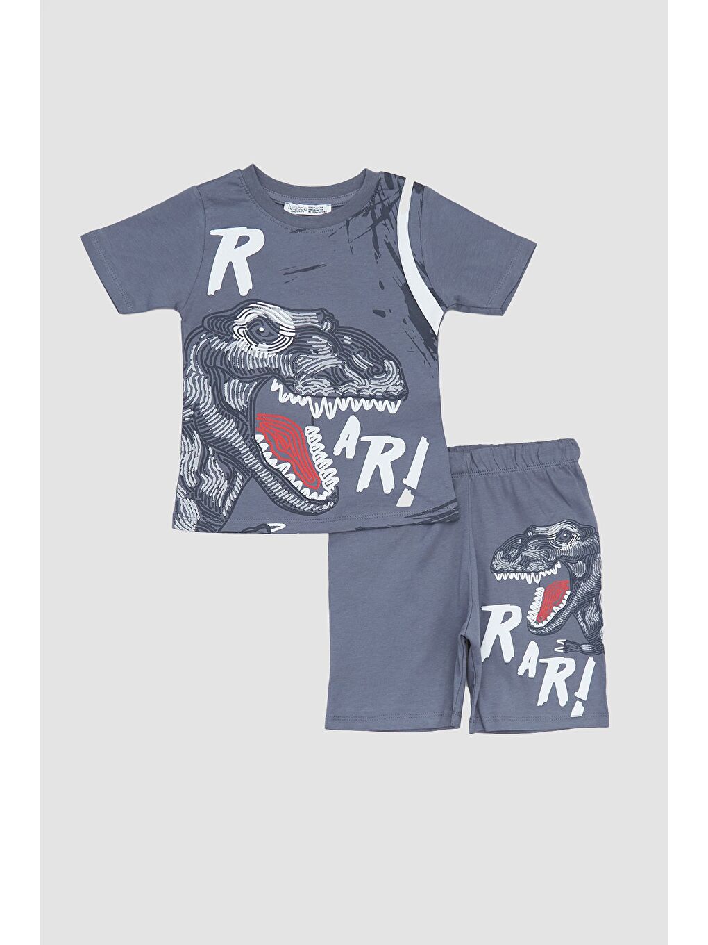 Antrasit Dinozor Kabartma Baskılı 2 Li Erkek Çocuk Şortlu Takım