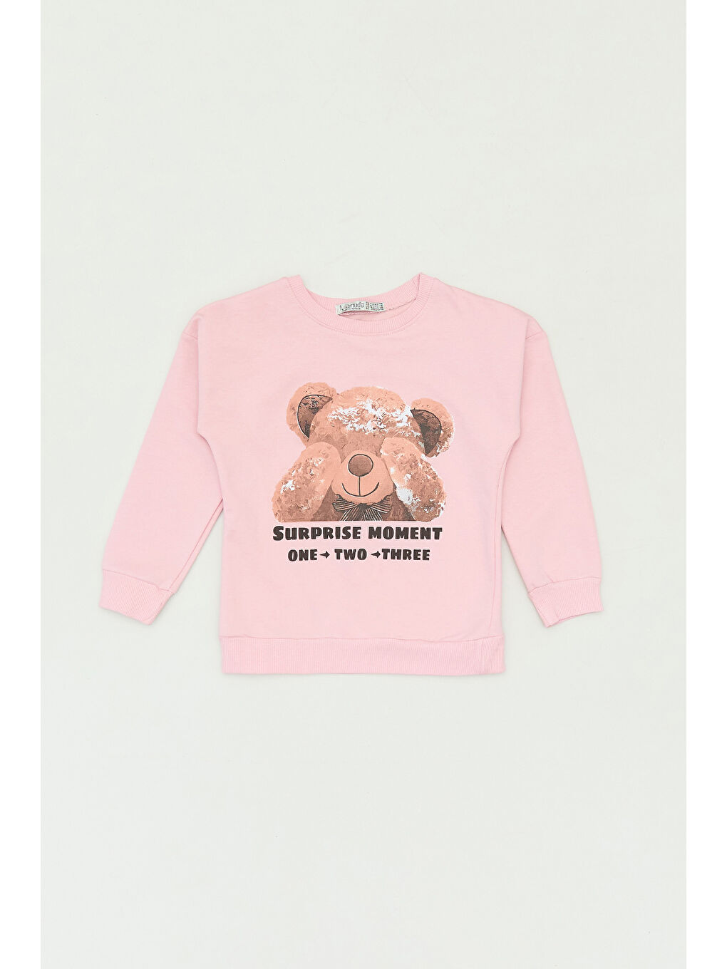 Fullamoda Pudra Pembe Ayıcık Baskılı Bisiklet Yaka Kız Çocuk Sweatshirt