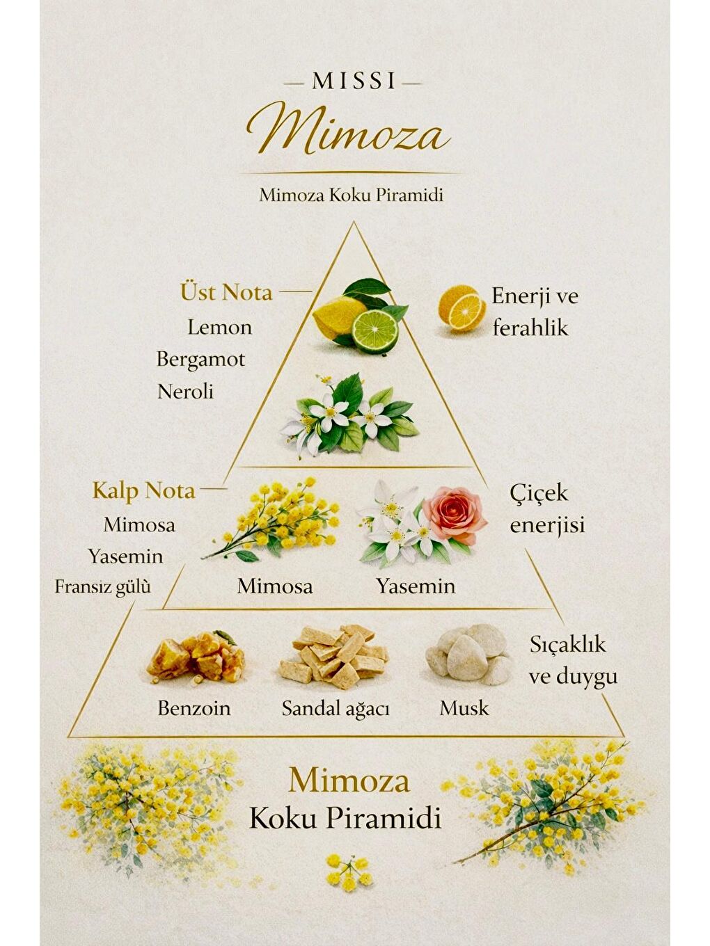 Renksiz 250 ml Mimoza Yedek Esans-1