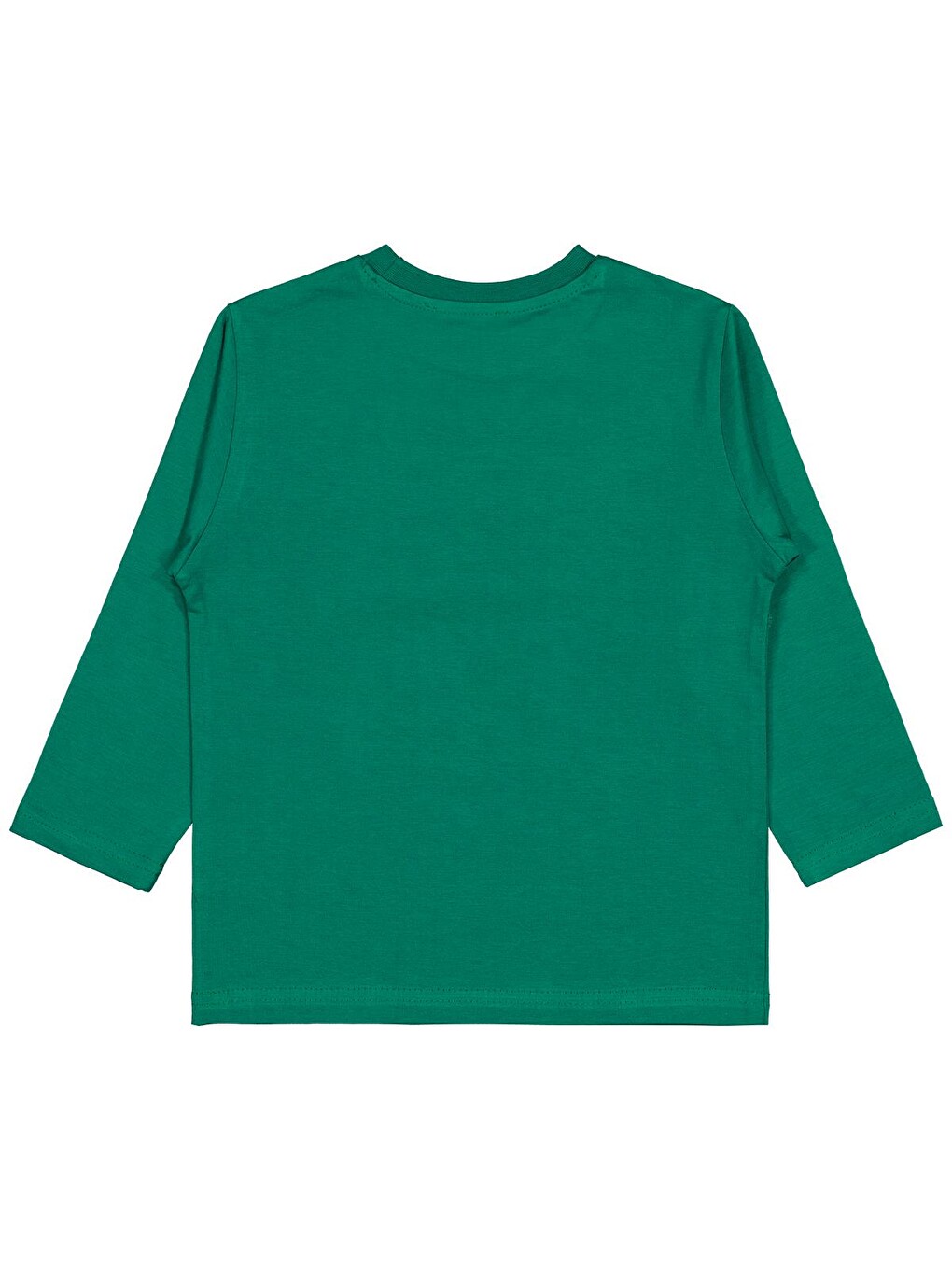 Boys Lets Go Timsah Baskılı 2-5 Yaş Sweatshirt - Yeşil-1
