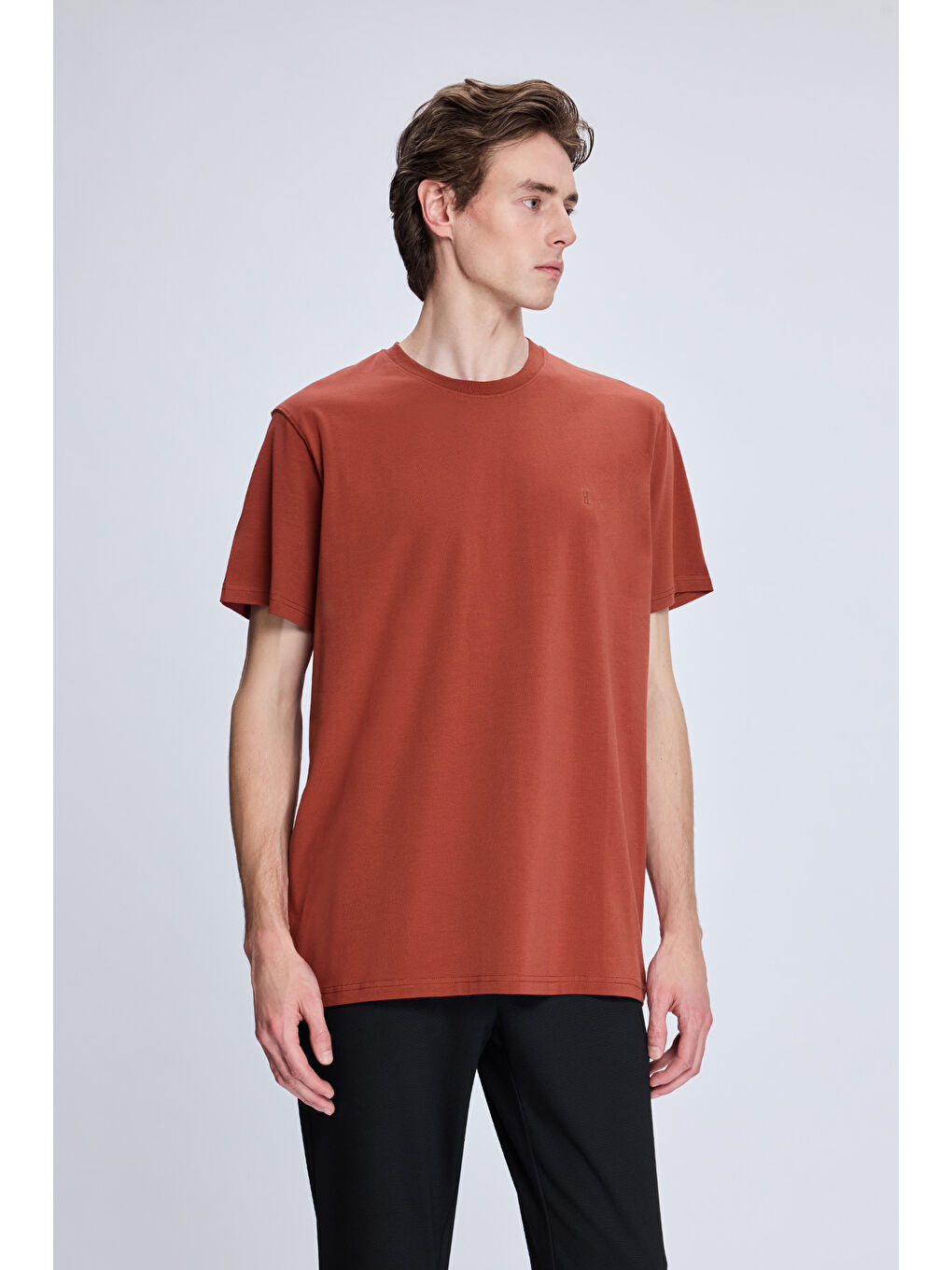 Bordo Regular Fit Bisiklet Yaka Pamuklu Triko Tişört-2