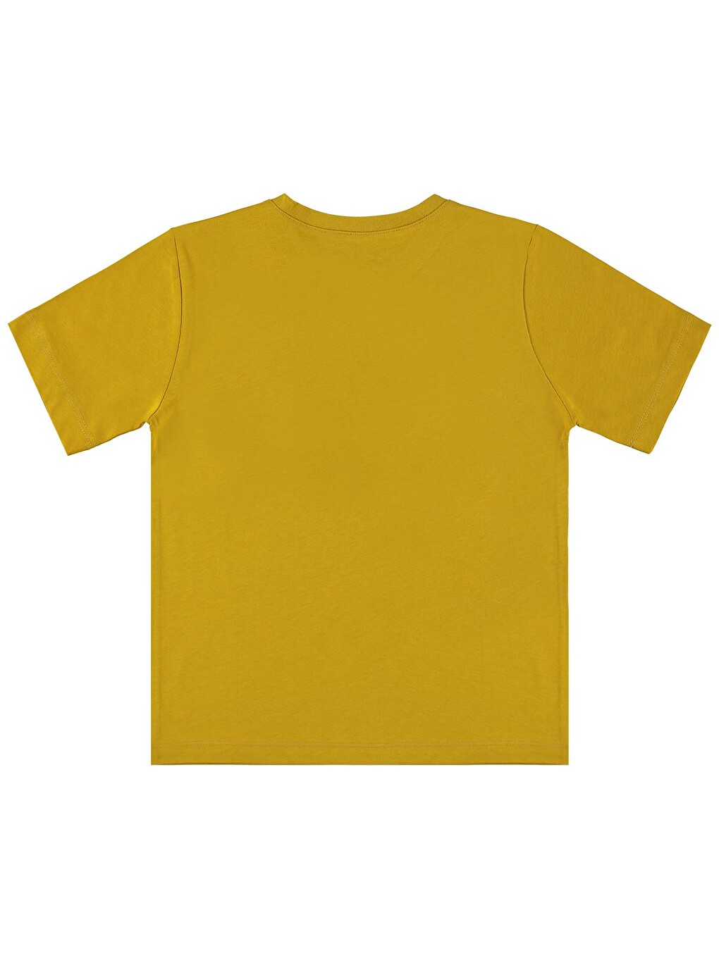 Kahverengi Boys Basic Surf Etiketli 6-9 Yaş Tişört - Sarı-1