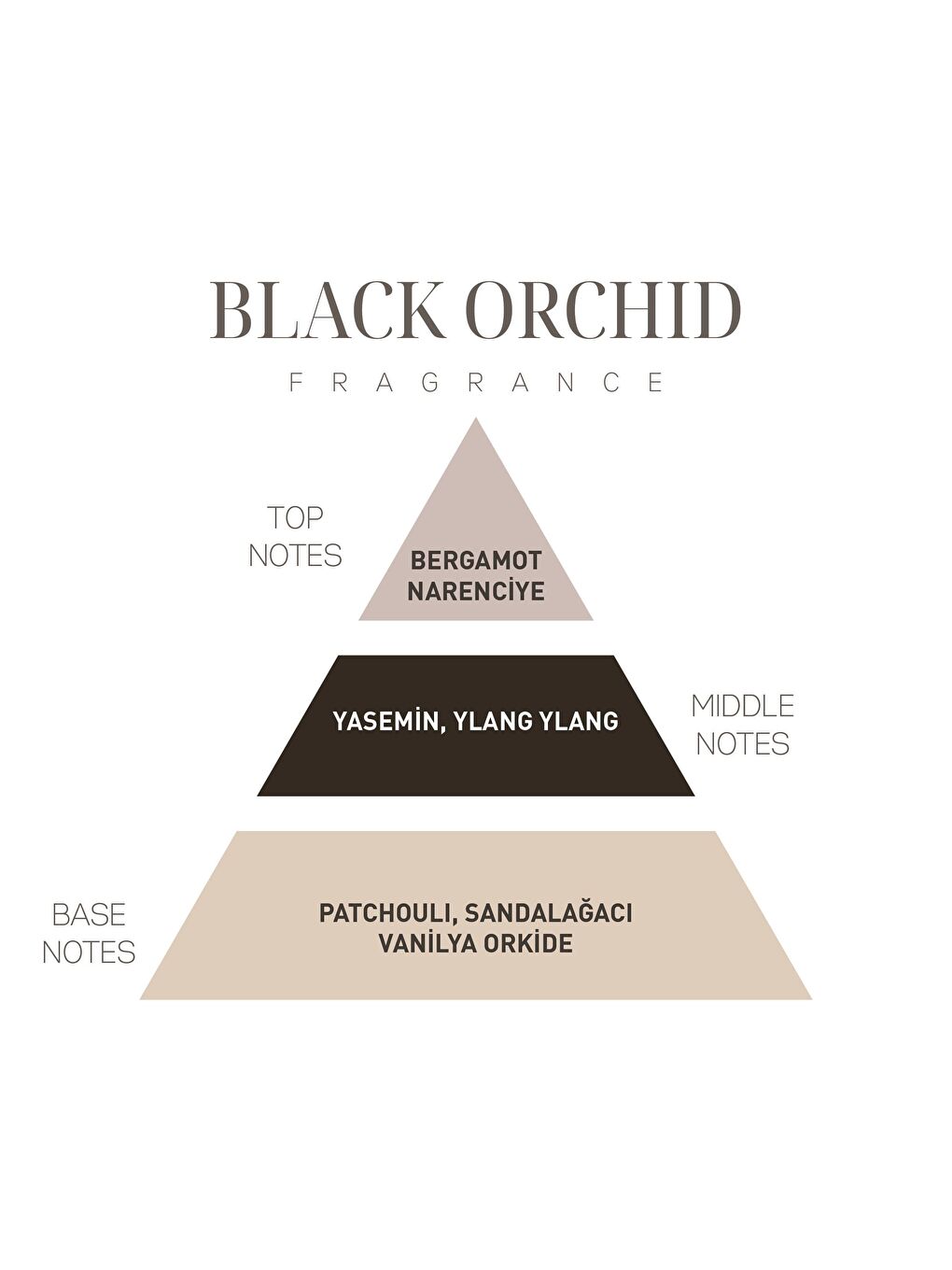 Siyah İkonik Black Orchid Hediye Seti-1