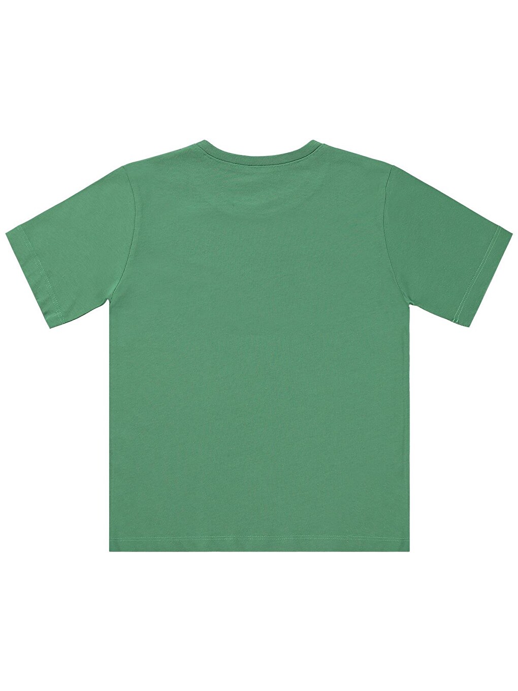 Boys Basic Surf Etiketli 6-9 Yaş Tişört - Yeşil-1