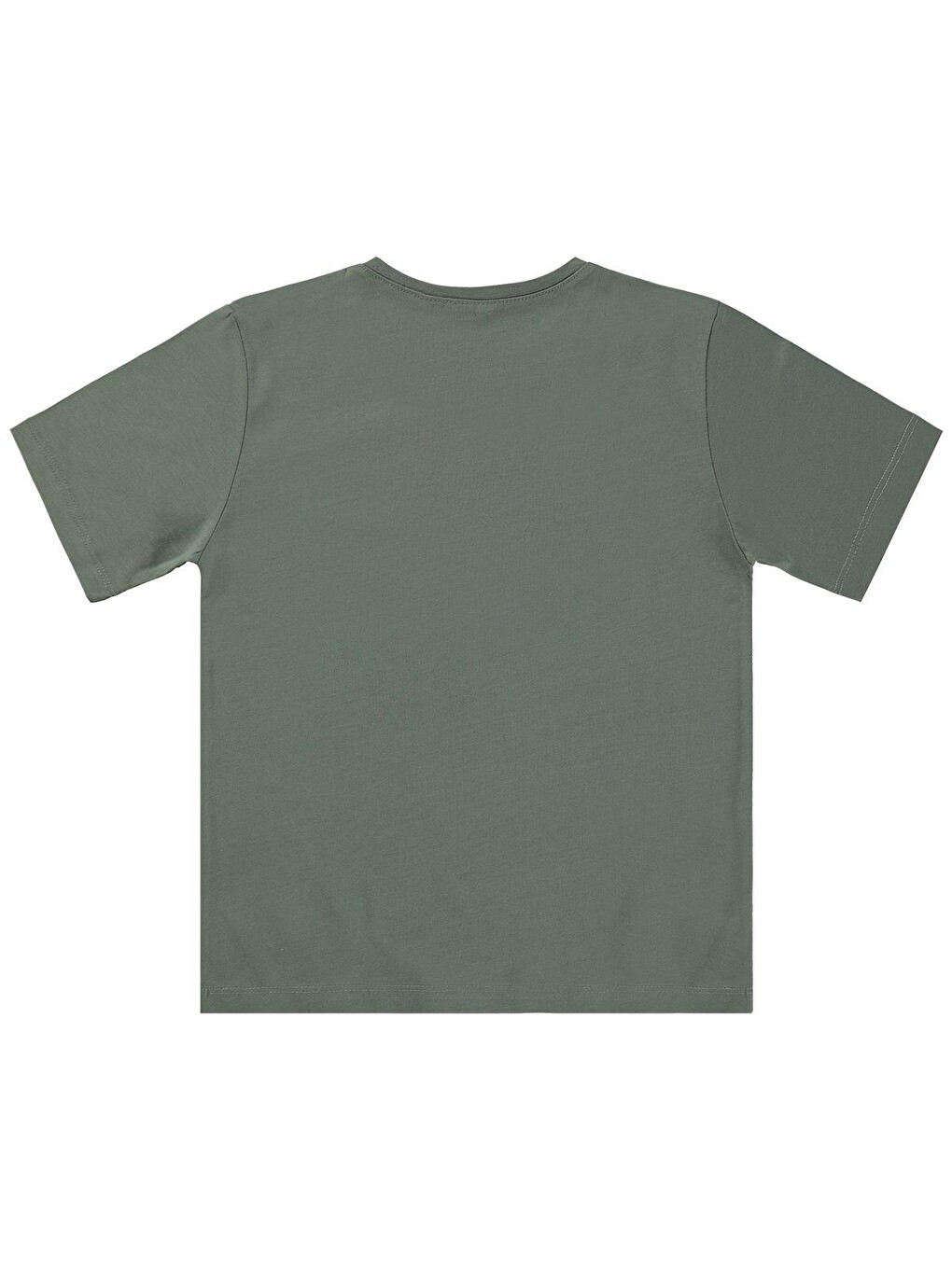 Boys Basic Surf Etiketli 6-9 Yaş Tişört - Haki-1