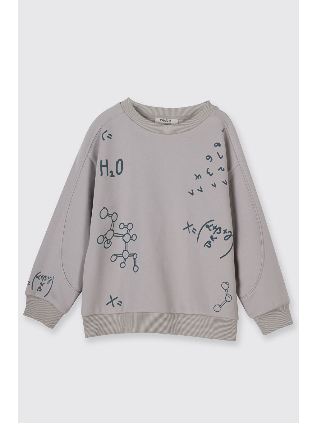 Bej Erkek Çocuk Baskı Detaylı Sweatshirt Petrol