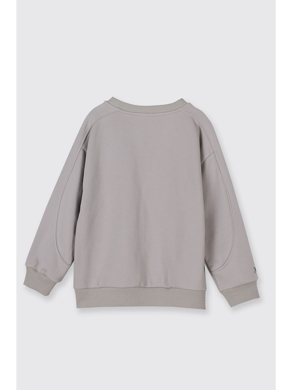 Bej Erkek Çocuk Baskı Detaylı Sweatshirt Petrol-1