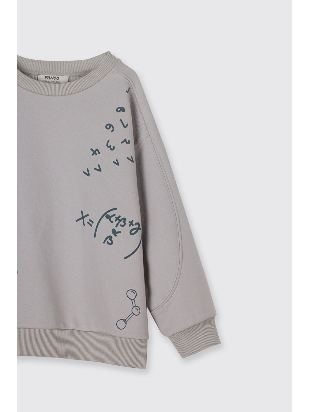 Bej Erkek Çocuk Baskı Detaylı Sweatshirt Petrol-2