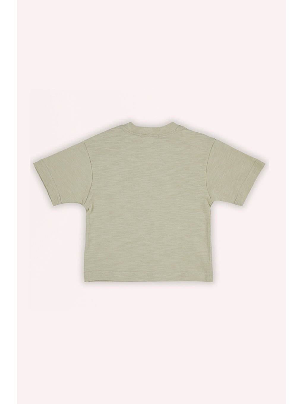 Erkek Bebek Baskı Detaylı Açık Haki Tişört-1