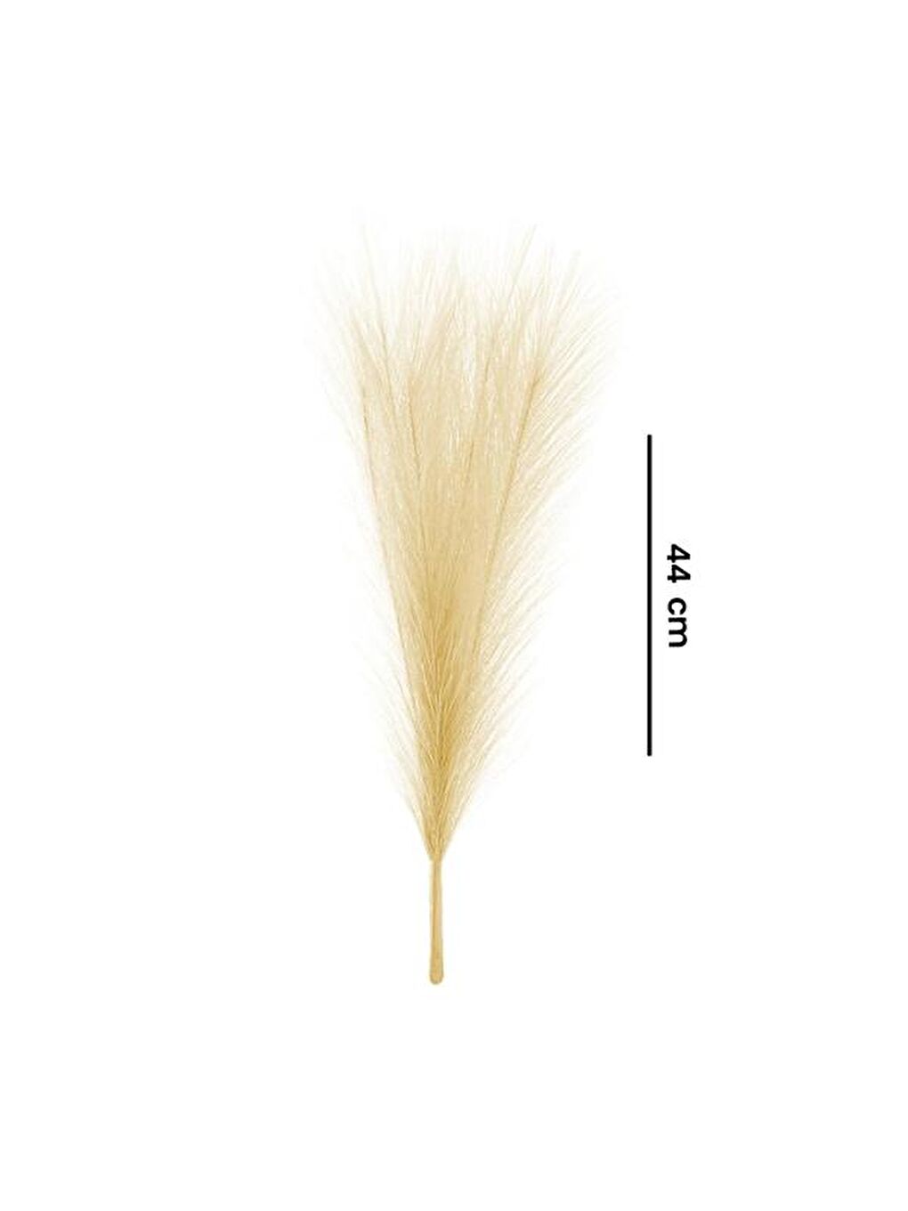 Ekru Dekoratif Tüy - Krem - 44 cm-3