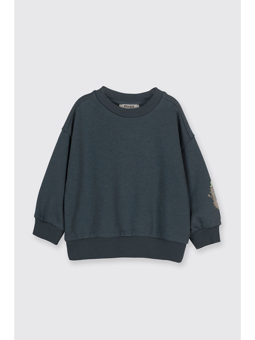 Erkek Çocuk Baskı Detaylı Sweatshirt Petrol