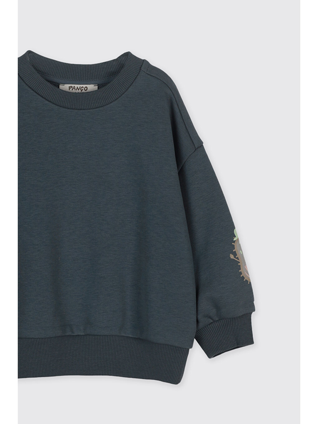 Erkek Çocuk Baskı Detaylı Sweatshirt Petrol-2