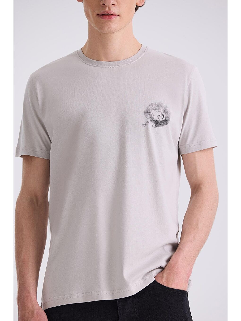 Gri Slim Fit Bisiklet Yaka T-Shirt-2