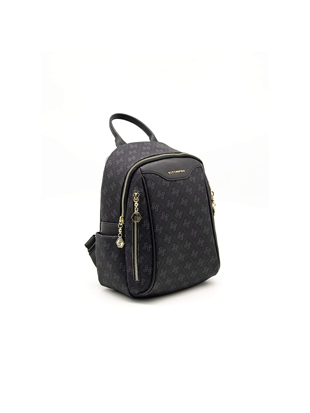 Siyah Kadın 906-45407 SILVER POLO SIRT ÇANTASI M178 SİYAH-MAT SİYAH-1