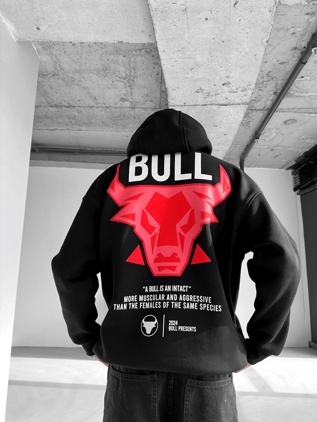 ablukaonline Siyah Erkek Oversize Bull Baskılı Hoodie Siyah - 1