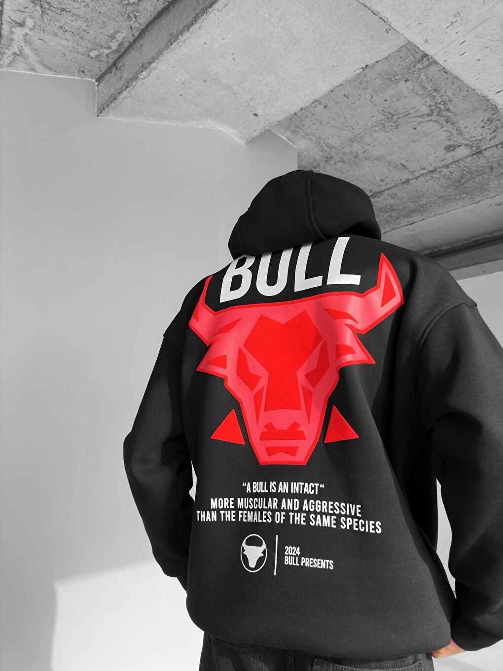 ablukaonline Siyah Erkek Oversize Bull Baskılı Hoodie Siyah - 2