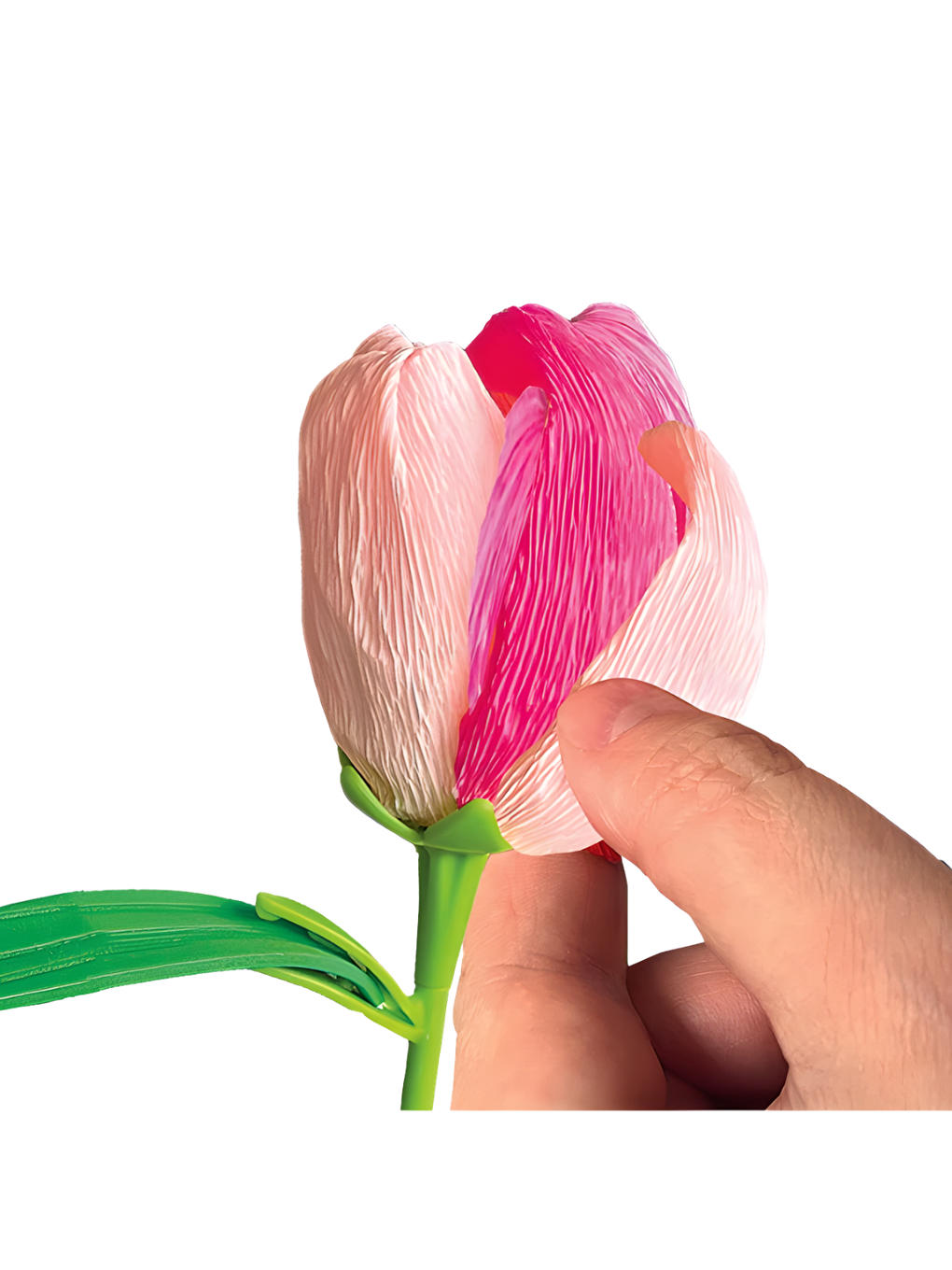 Idea Çiçek Tasarıım Seti Lale-4