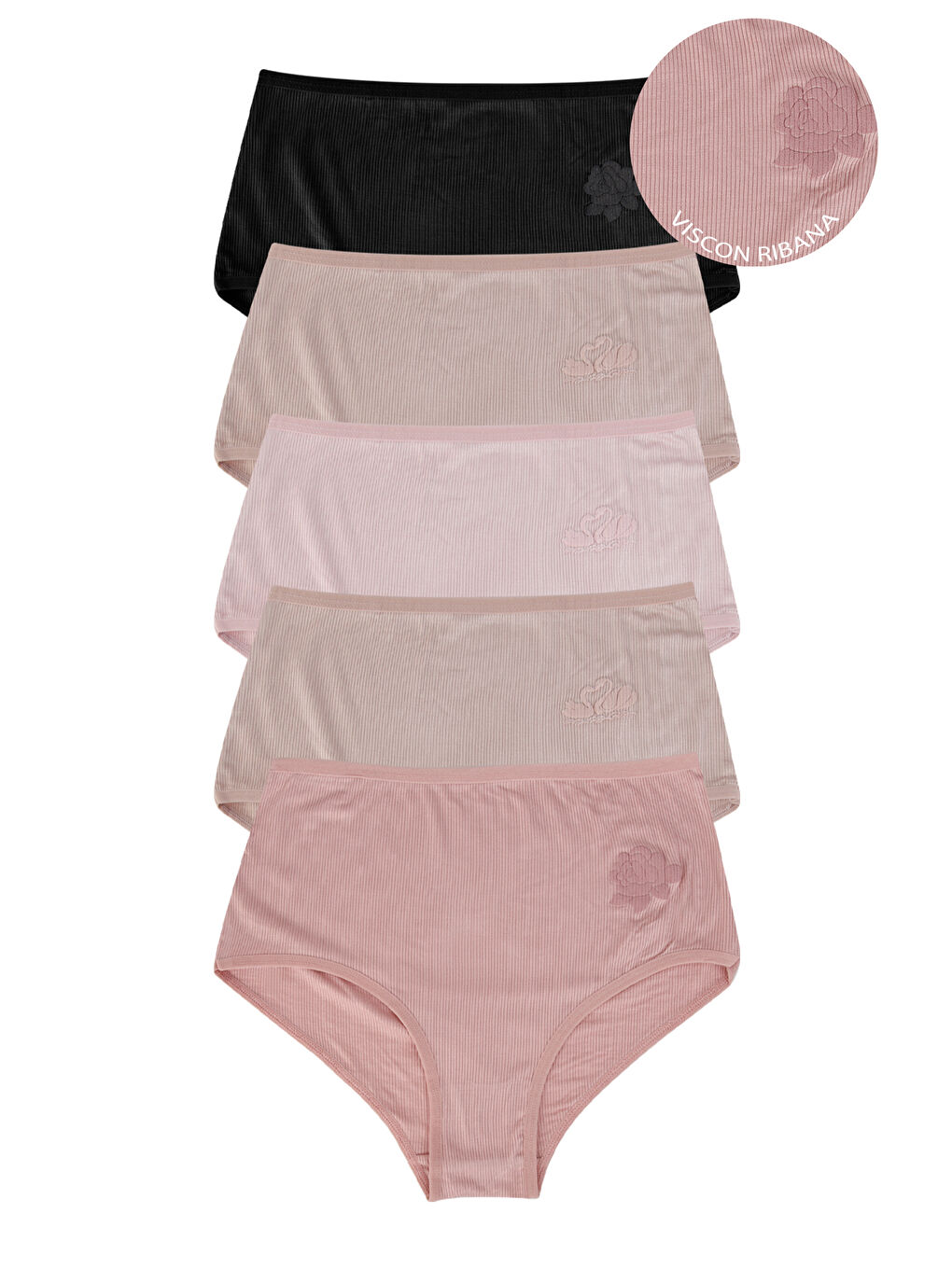 Karışık Kadın Viscon Ribana Yüksel Bel Külot 5'li Paket-2