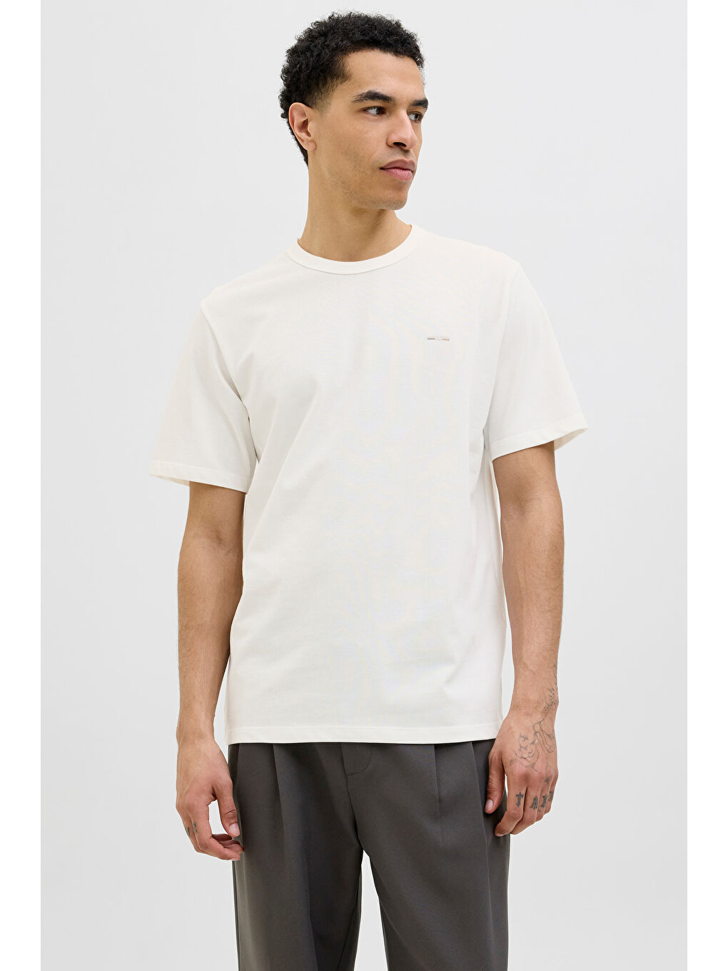 Ekru Premium Jprblualves Pamuklu Regular Fit Bisiklet Yaka T Shirt 12276801