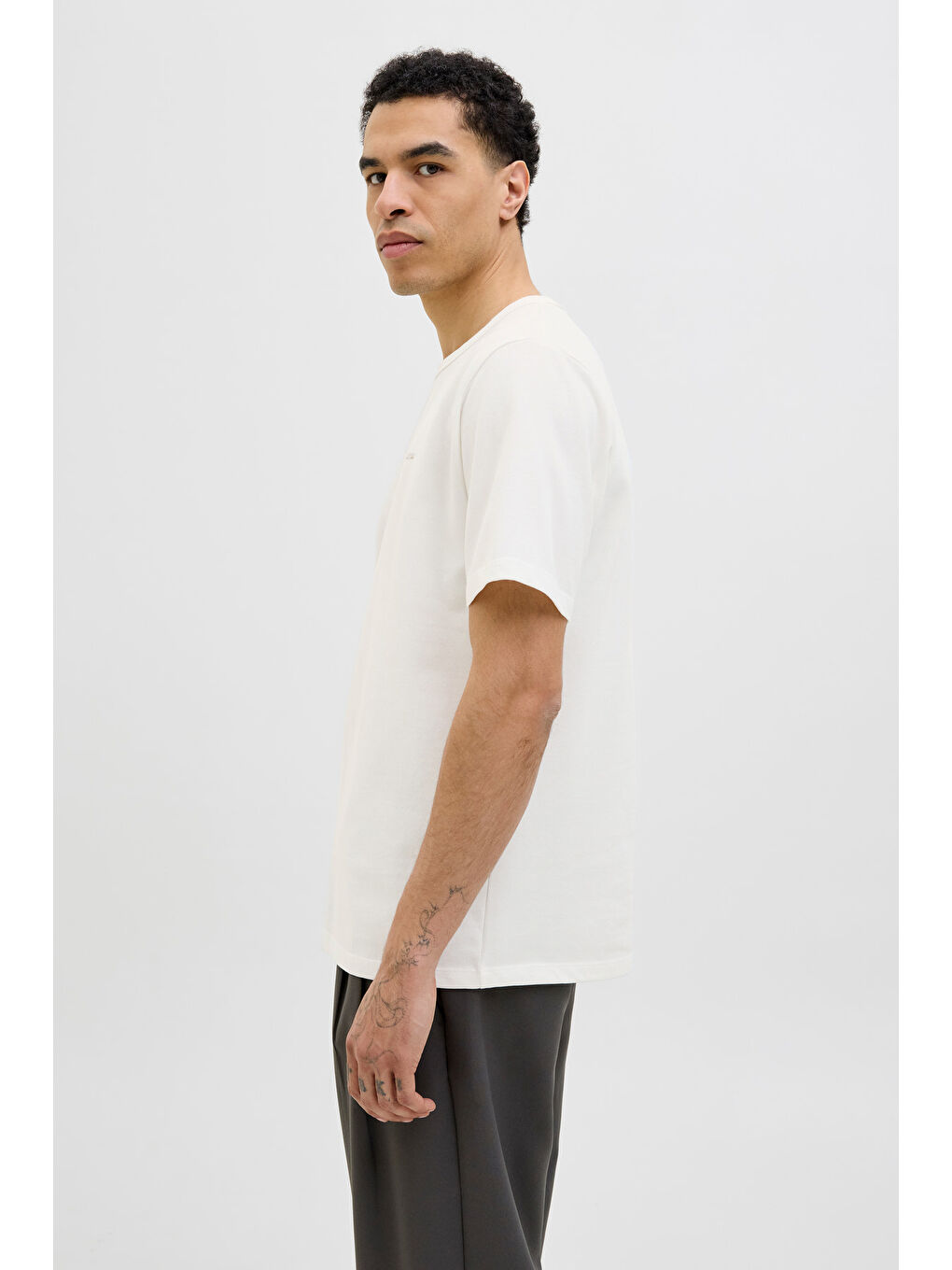 Ekru Premium Jprblualves Pamuklu Regular Fit Bisiklet Yaka T Shirt 12276801-2