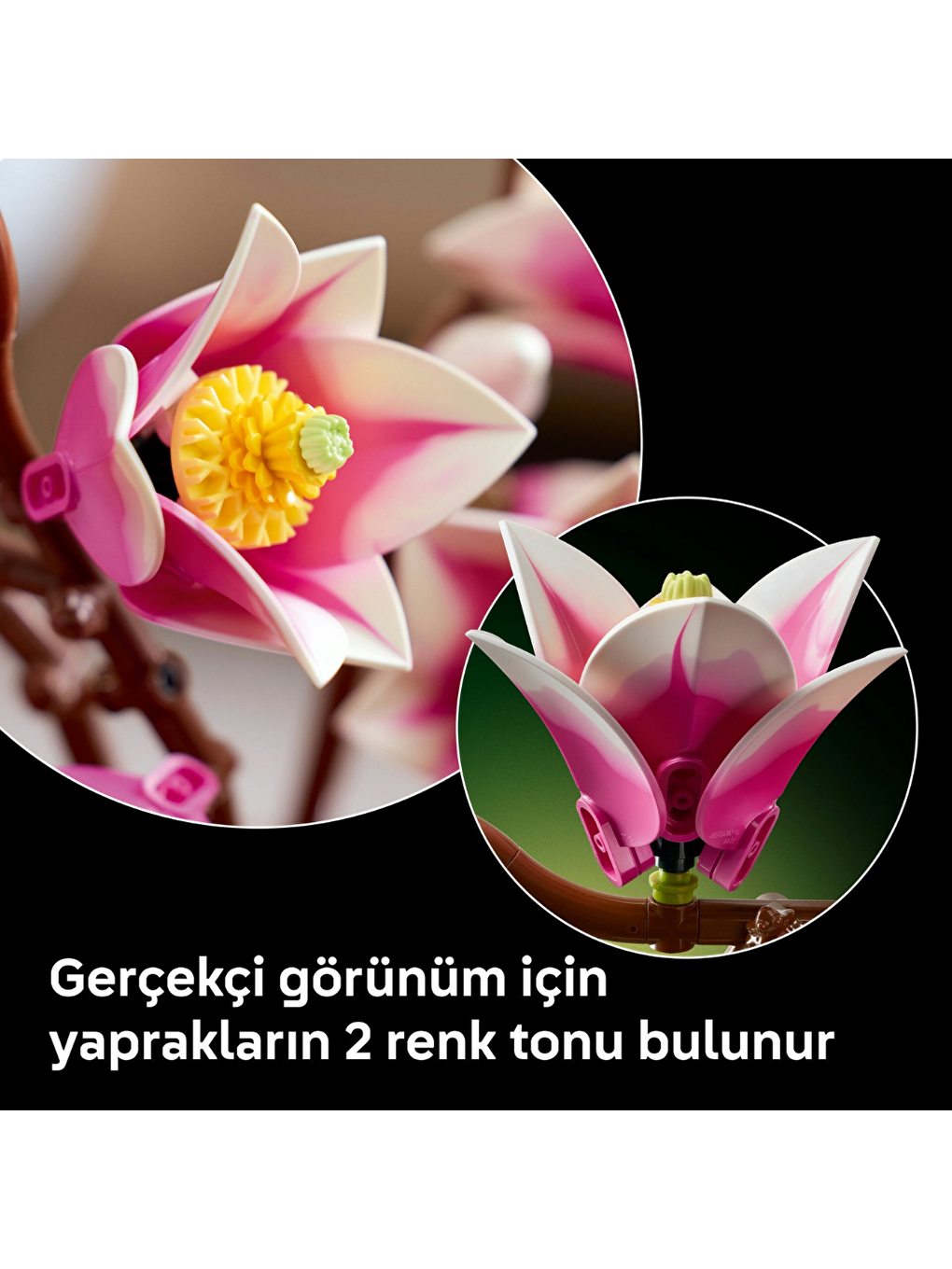 Botanicals Manolya Dalları 11510-4