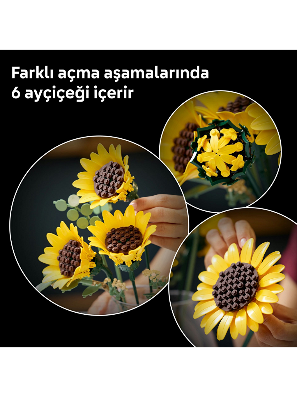 Botanicals Ayçiçeği Buketi 11502-5