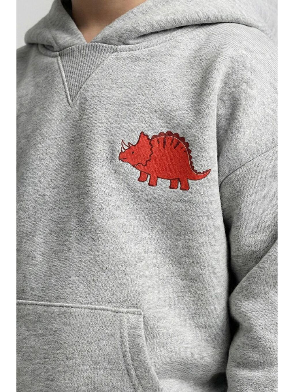 Gri Erkek Çocuk %100 Pamuk Baskılı Sweatshirt (4-5 Yaş)-2