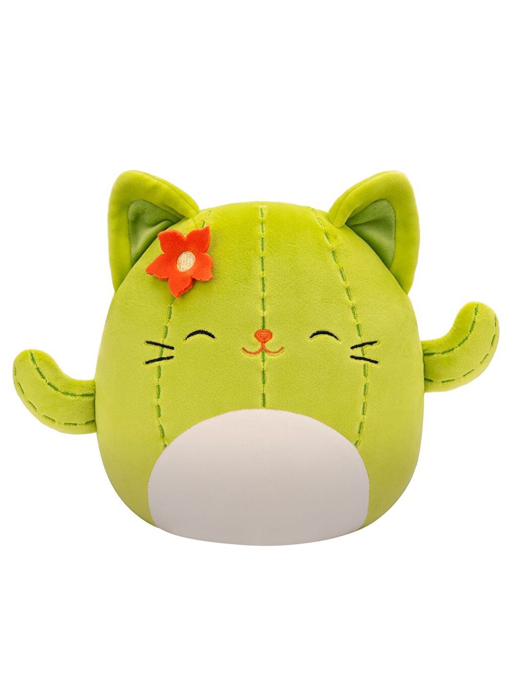 Squishmallows Kaktüs Kedi Ms. Miss 20cm SQCR06594