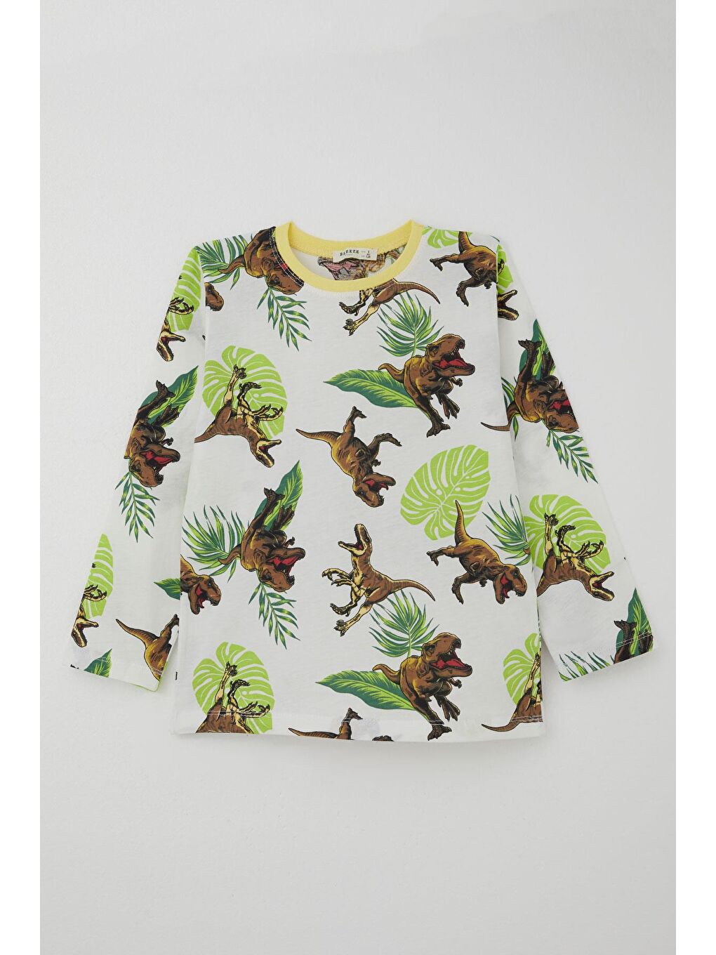 Erkek Çocuk Pijama Takımı Kükreyen Orman Dinozoru Beyaz (4-8 Yaş)-1
