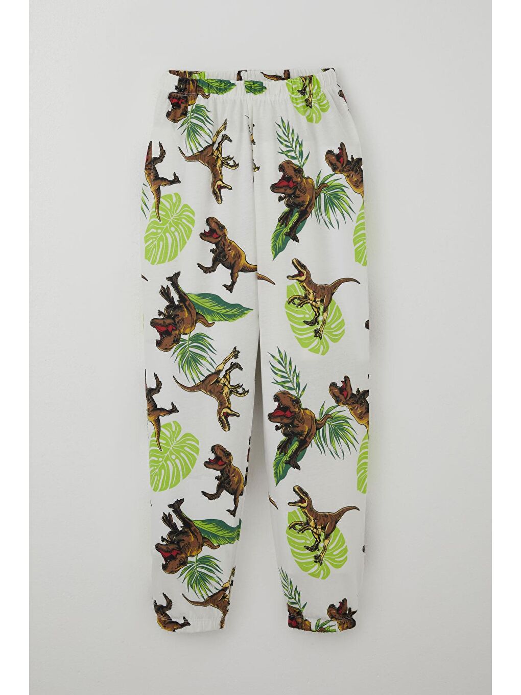 Erkek Çocuk Pijama Takımı Kükreyen Orman Dinozoru Beyaz (4-8 Yaş)-2