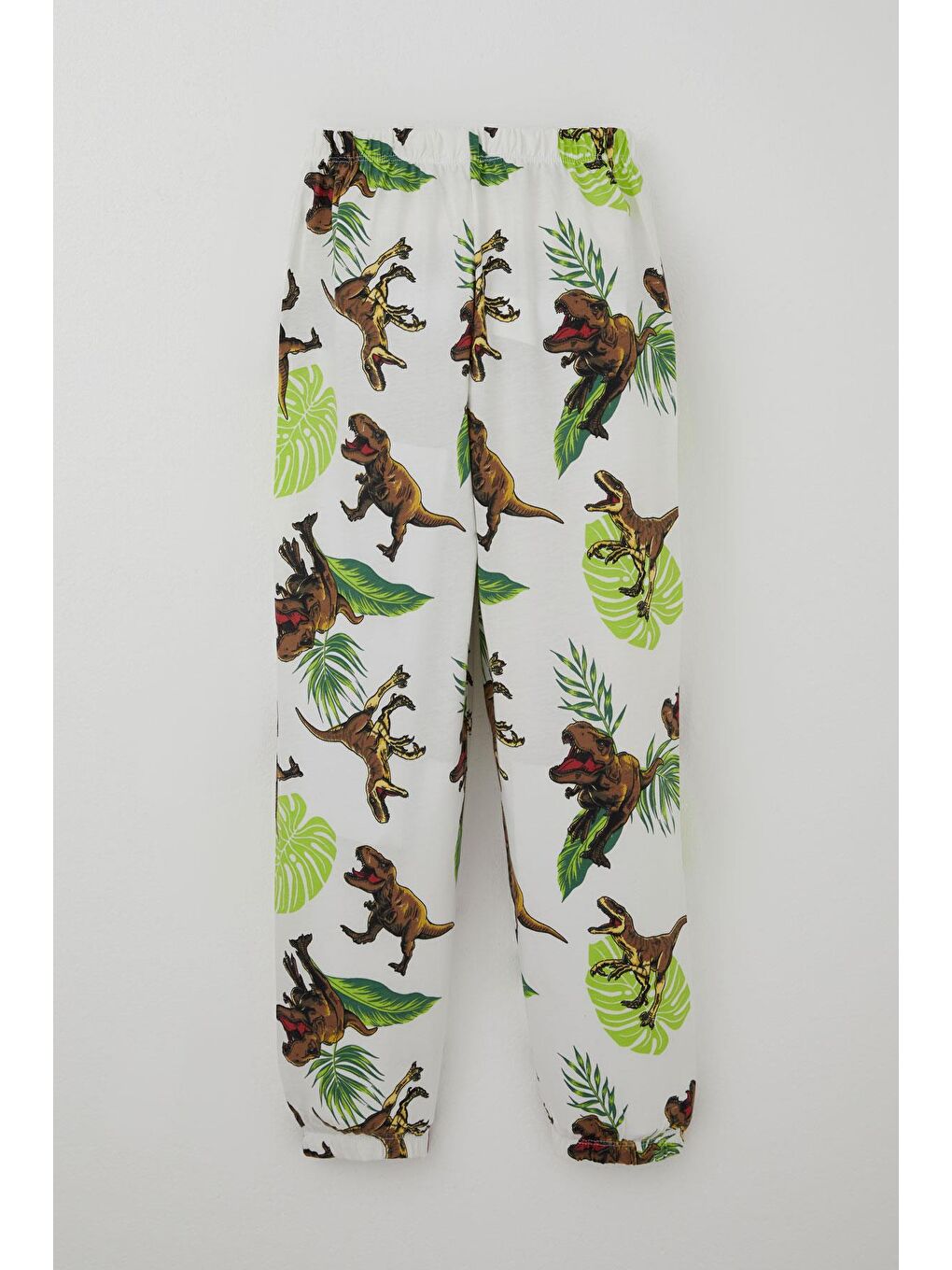 Erkek Çocuk Pijama Takımı Kükreyen Orman Dinozoru Beyaz (4-8 Yaş)-4