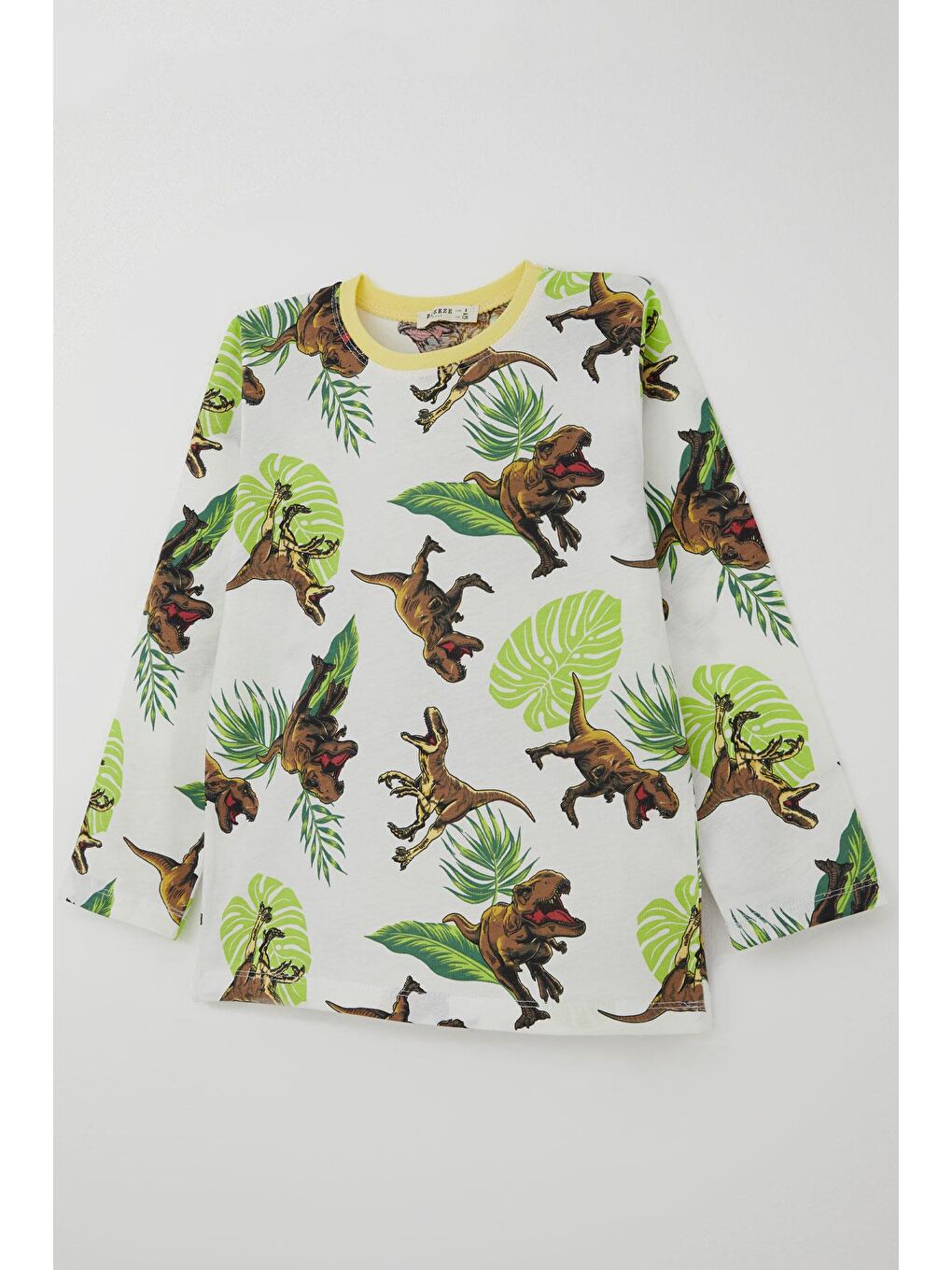 Erkek Çocuk Pijama Takımı Kükreyen Orman Dinozoru Beyaz (4-8 Yaş)-5