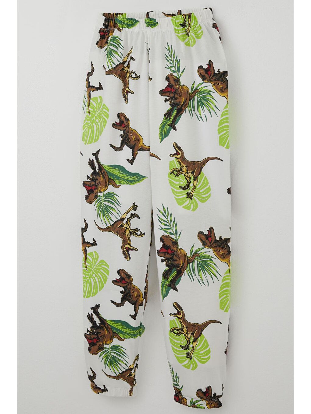 Erkek Çocuk Pijama Takımı Kükreyen Orman Dinozoru Beyaz (4-8 Yaş)-6