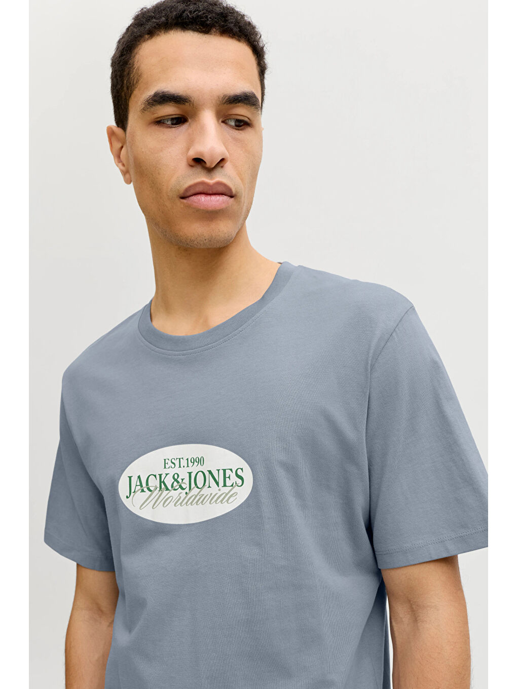 Gri Originals Jorcatskills Pamuklu Regular Fit Bisiklet Yaka T Shirt 12297891-2