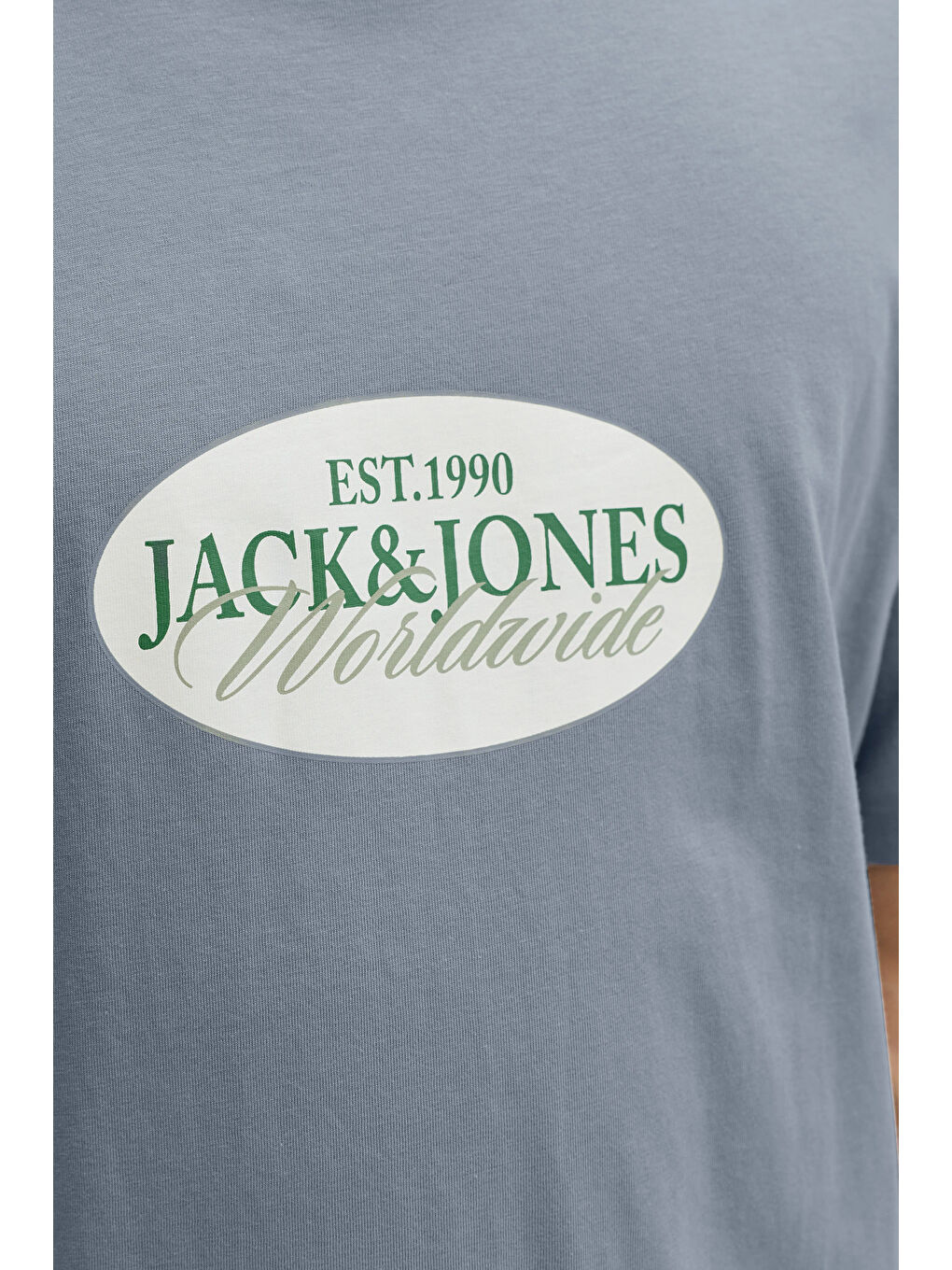 Gri Originals Jorcatskills Pamuklu Regular Fit Bisiklet Yaka T Shirt 12297891-4