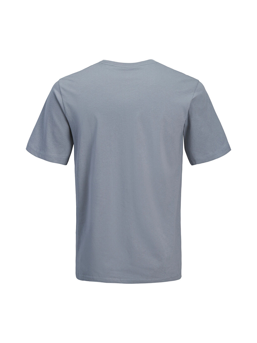 Gri Originals Jorcatskills Pamuklu Regular Fit Bisiklet Yaka T Shirt 12297891-6