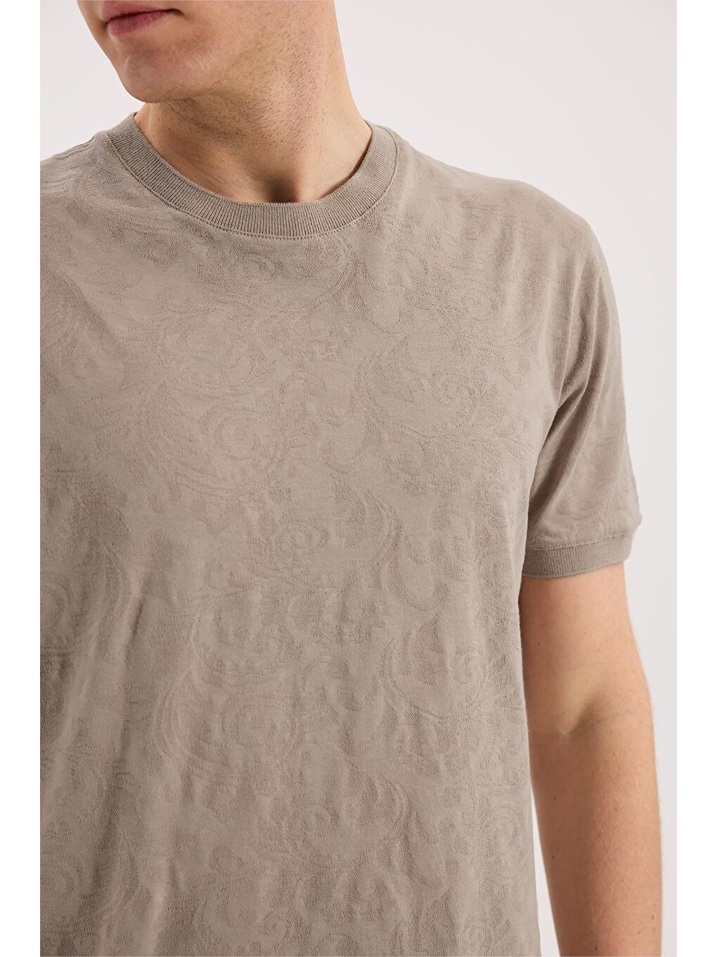 Bej Vizon Slim Fit Bisiklet Yaka Desenli %100 Pamuk T-Shirt-2