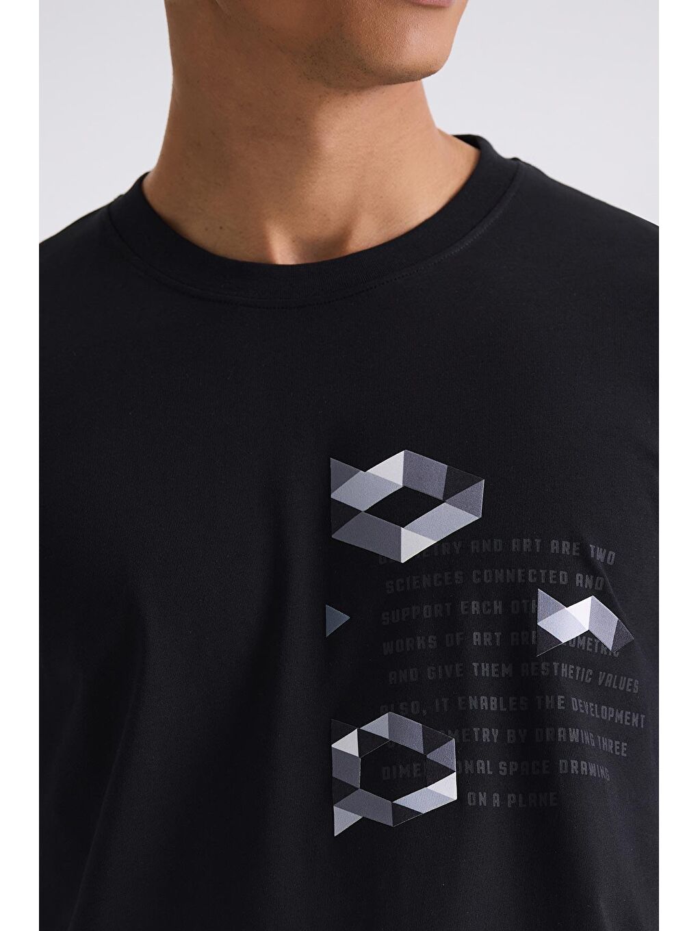 Siyah Slim Fit Bisiklet Yaka T-Shirt-2