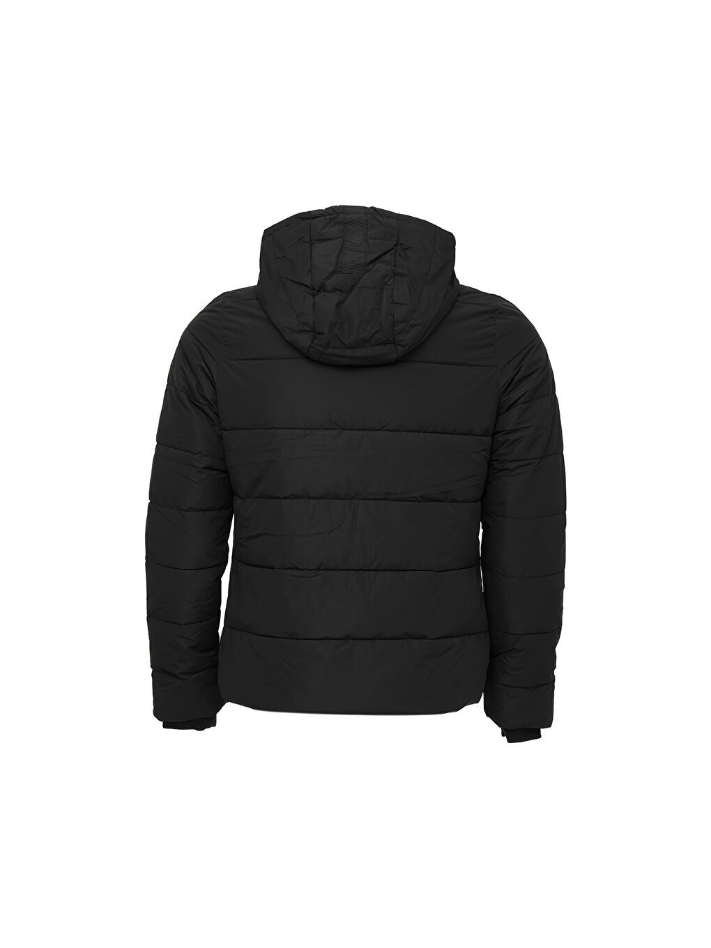 WL 1JENNY 5PR Siyah Kadın Mont-1