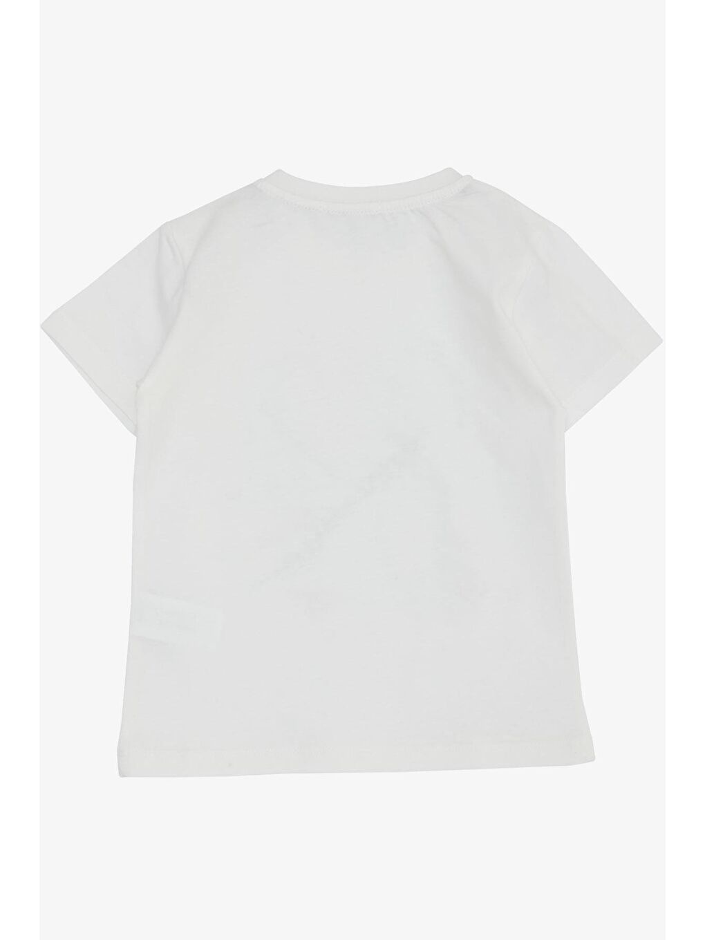 Erkek Çocuk Tişört Orman Temalı Komik Dinozorlar Baskılı Ekru (2-6 Yaş)-1