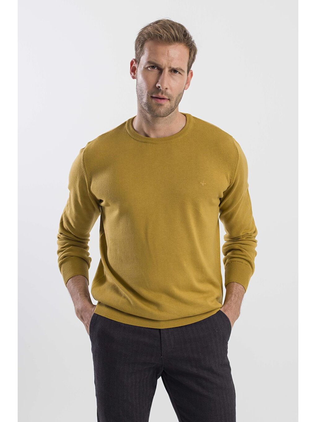 Sarı Hardal Slim Fit Bisiklet Yaka Triko Kazak-1