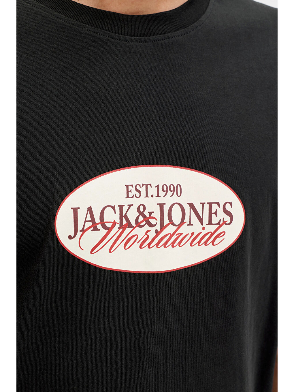 Siyah Originals Jorcatskills Pamuklu Regular Fit Bisiklet Yaka T Shirt 12297891-3