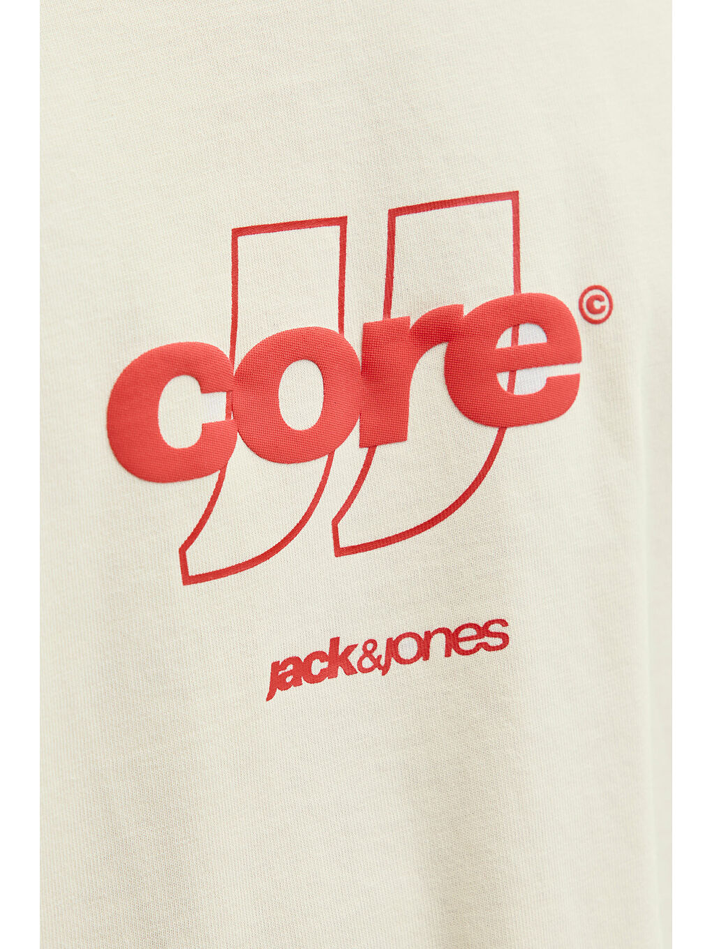 Ekru Core Logolu Pamuklu Regular Fit Bisiklet Yaka T Shirt 12289868-3