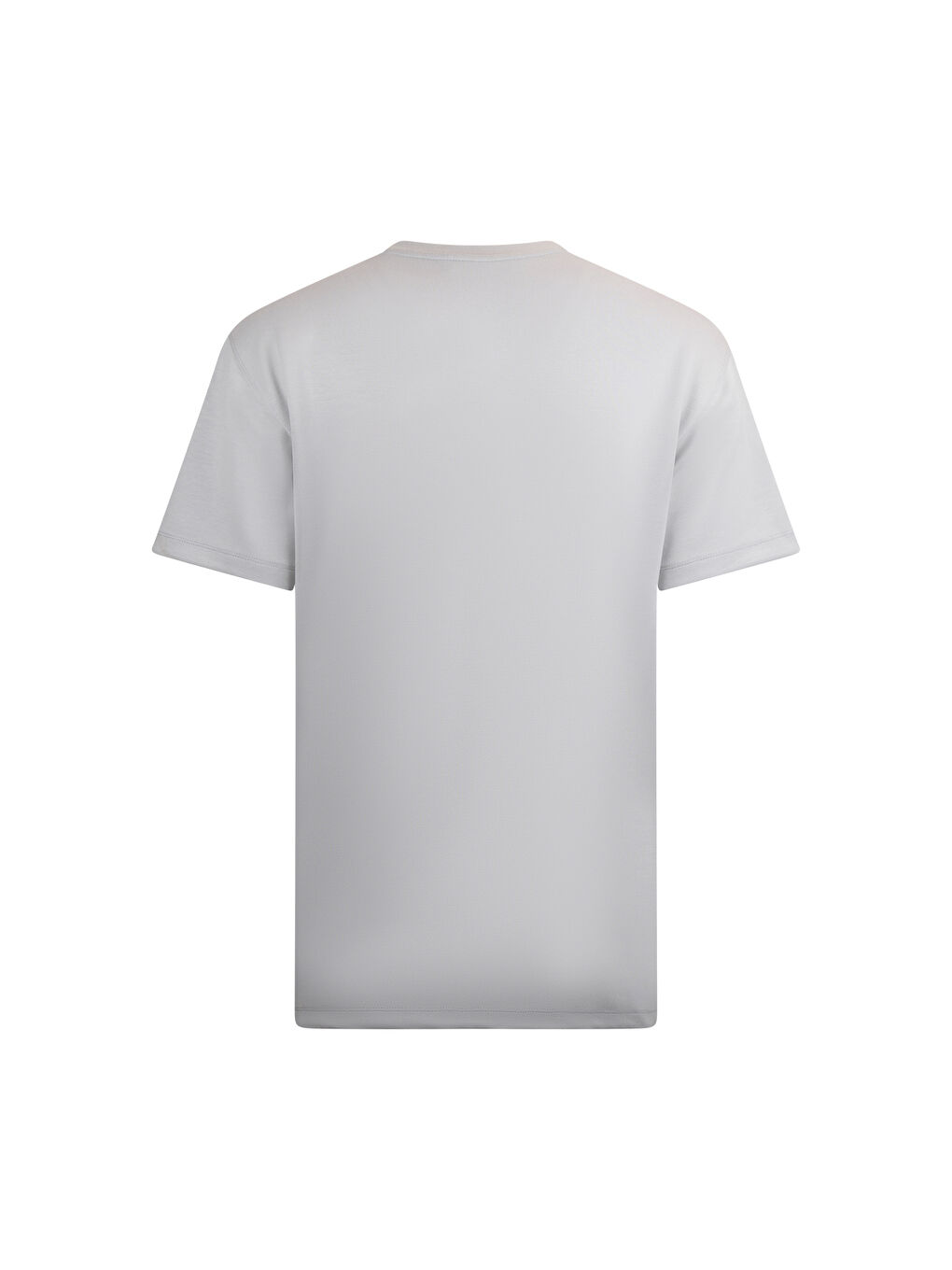 Gri Regular Fit Bisiklet Yaka Pamuklu Basic Tişört-1