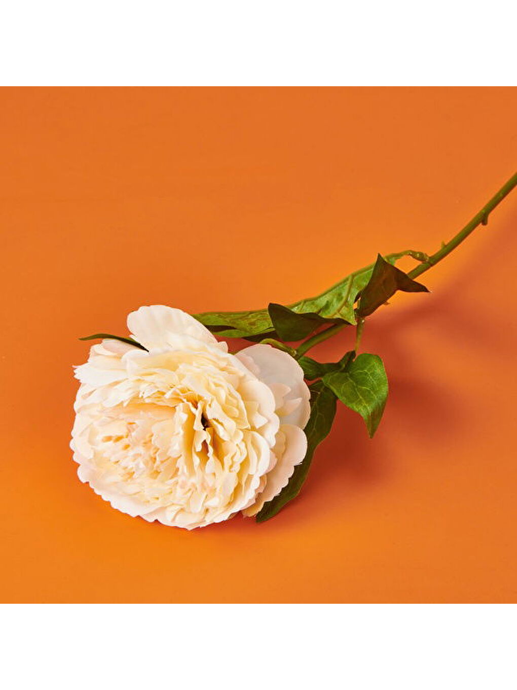 Ekru Şakayık Yapay Çiçek - Krem - 70 cm-1