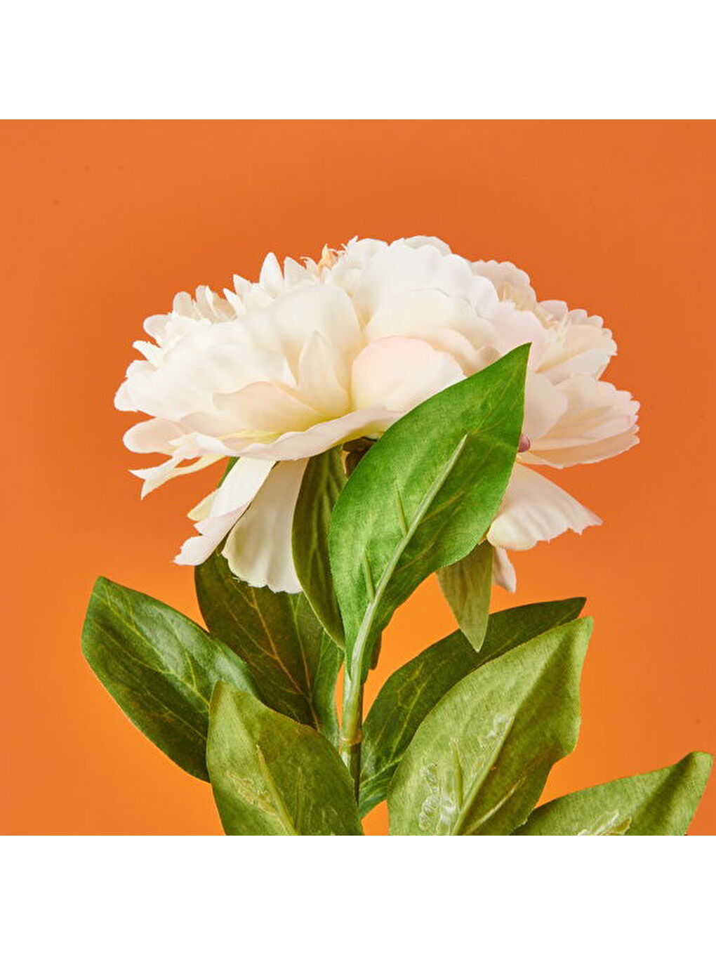 Ekru Şakayık Yapay Çiçek - Krem - 70 cm-2