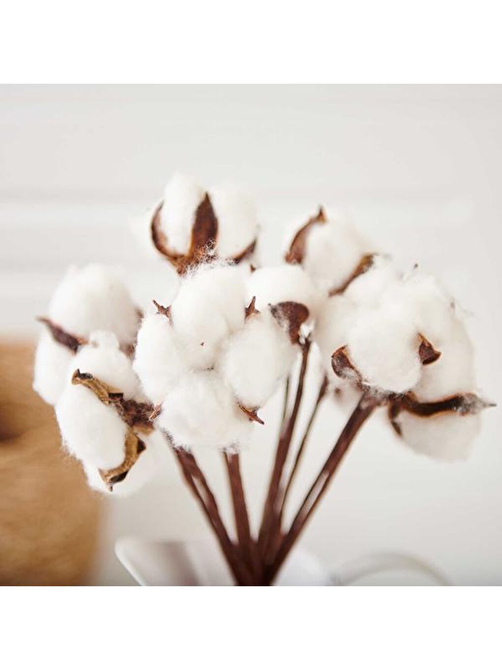 Beyaz Dekoratif Pamuk Demeti-2