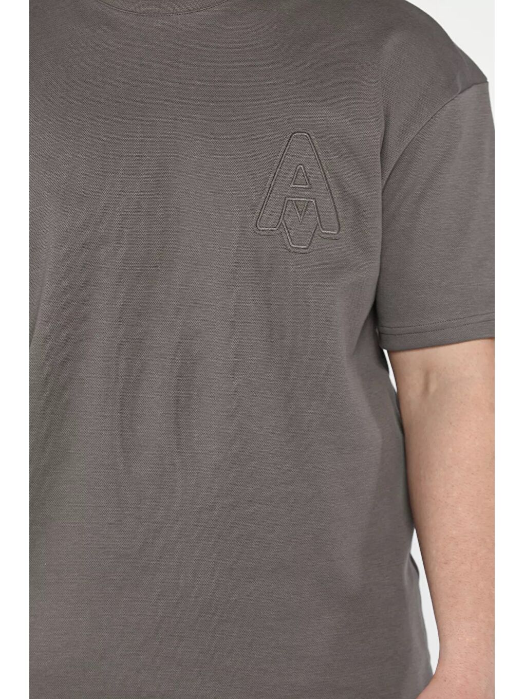 Gri Bisiklet Yaka Nakışlı Erkek Tişört-3